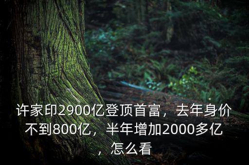 許家印2900億登頂首富，去年身價不到800億，半年增加2000多億，怎么看