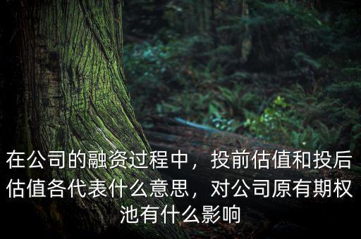 在公司的融資過程中，投前估值和投后估值各代表什么意思，對公司原有期權(quán)池有什么影響
