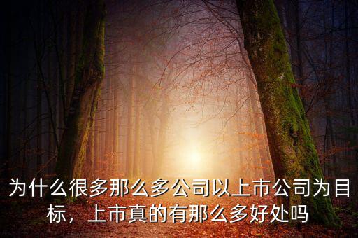 為什么很多那么多公司以上市公司為目標，上市真的有那么多好處嗎