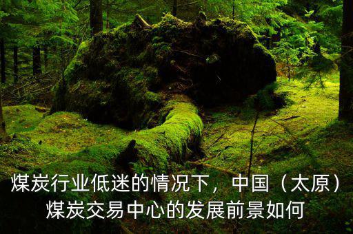 煤炭行業(yè)低迷的情況下，中國(guó)（太原）煤炭交易中心的發(fā)展前景如何