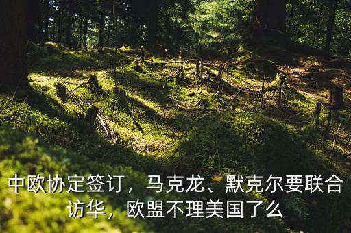 中歐協(xié)定簽訂，馬克龍、默克爾要聯(lián)合訪華，歐盟不理美國了么
