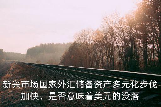 新興市場(chǎng)國(guó)家外匯儲(chǔ)備資產(chǎn)多元化步伐加快，是否意味著美元的沒(méi)落