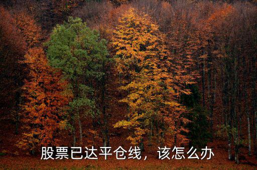股票已達(dá)平倉(cāng)線，該怎么辦