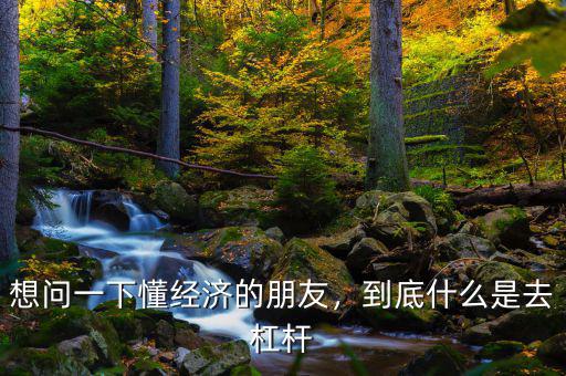 想問(wèn)一下懂經(jīng)濟(jì)的朋友，到底什么是去杠桿
