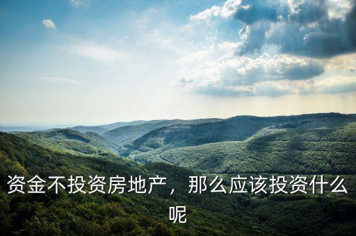資金不投資房地產，那么應該投資什么呢