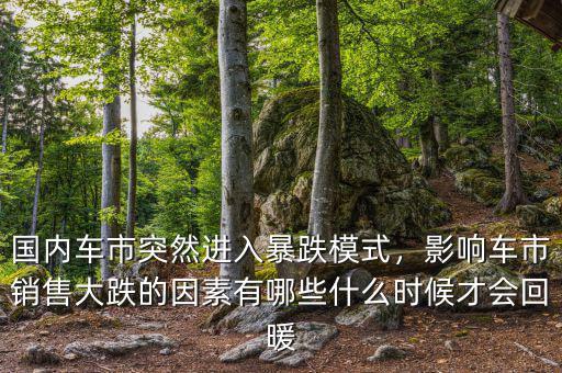 國內(nèi)車市突然進(jìn)入暴跌模式，影響車市銷售大跌的因素有哪些什么時候才會回暖