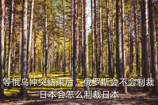 等俄烏沖突結(jié)束后，俄羅斯會不會制裁日本會怎么制裁日本