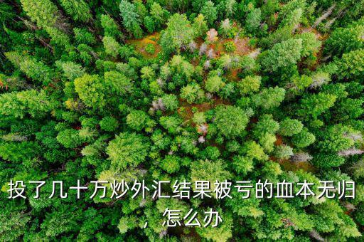 投了幾十萬(wàn)炒外匯結(jié)果被虧的血本無(wú)歸，怎么辦