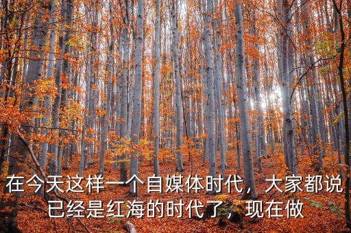 在今天這樣一個自媒體時代，大家都說已經(jīng)是紅海的時代了，現(xiàn)在做