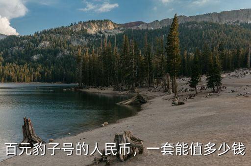 百元豹子號的人民幣，一套能值多少錢