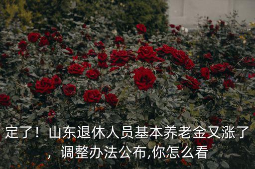 定了！山東退休人員基本養(yǎng)老金又漲了，調(diào)整辦法公布,你怎么看