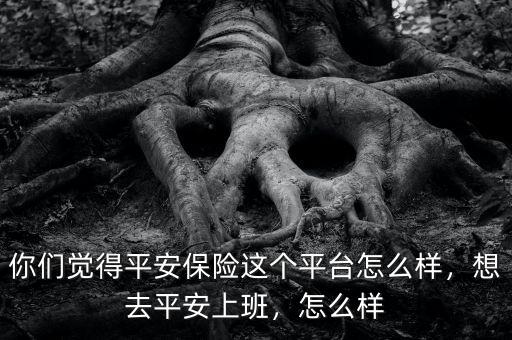你們覺得平安保險(xiǎn)這個(gè)平臺(tái)怎么樣，想去平安上班，怎么樣