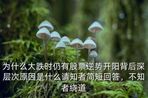 為什么大跌時(shí)仍有股票逆勢(shì)開陽背后深層次原因是什么請(qǐng)知者簡短回答，不知者繞道