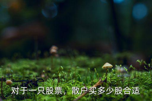 對(duì)于一只股票，散戶買多少股合適