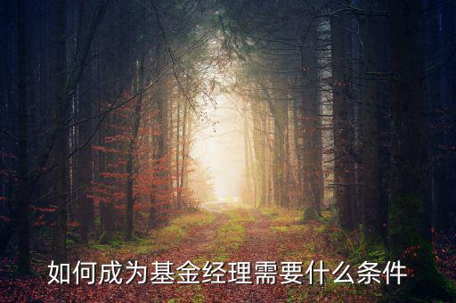 如何成為基金經理需要什么條件