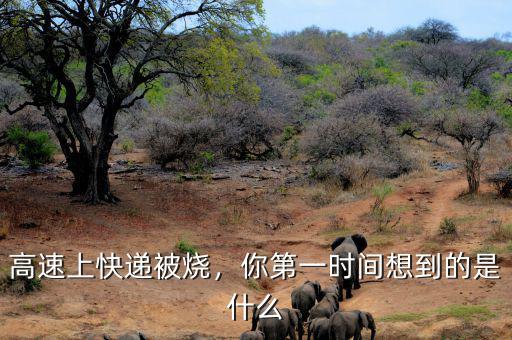 高速上快遞被燒，你第一時(shí)間想到的是什么