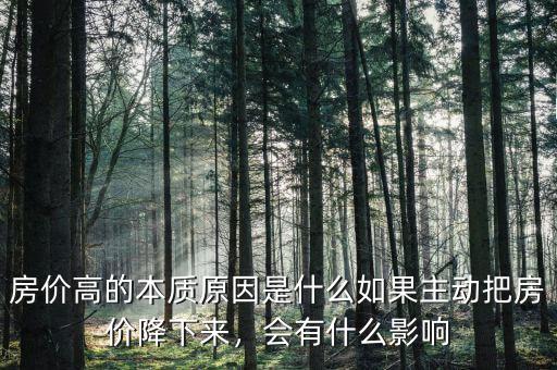 房?jī)r(jià)高的本質(zhì)原因是什么如果主動(dòng)把房?jī)r(jià)降下來(lái)，會(huì)有什么影響