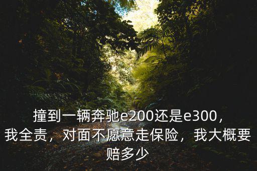 撞到一輛奔馳e200還是e300，我全責(zé)，對(duì)面不愿意走保險(xiǎn)，我大概要賠多少