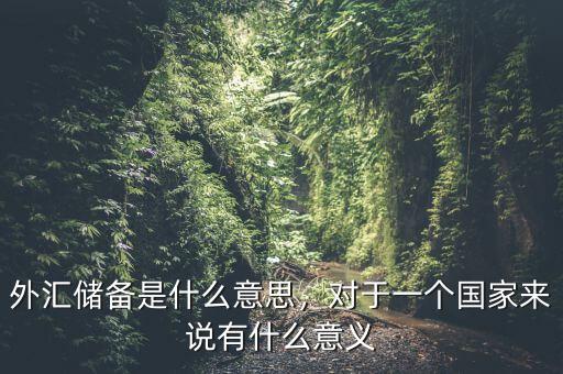 外匯儲備是什么意思，對于一個國家來說有什么意義