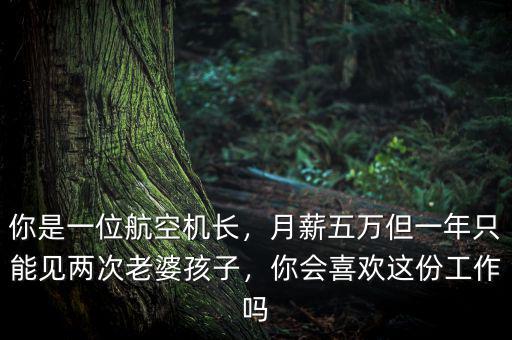 你是一位航空機(jī)長，月薪五萬但一年只能見兩次老婆孩子，你會喜歡這份工作嗎