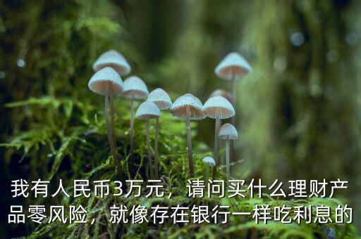 我有人民幣3萬元，請問買什么理財產品零風險，就像存在銀行一樣吃利息的
