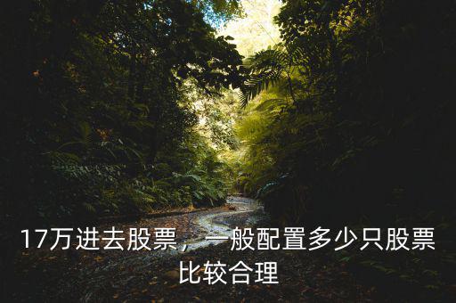17萬(wàn)進(jìn)去股票，一般配置多少只股票比較合理