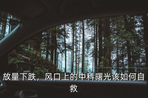 放量下跌，風(fēng)口上的中科曙光該如何自救
