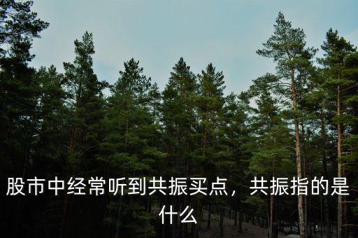 股市中經(jīng)常聽(tīng)到共振買(mǎi)點(diǎn)，共振指的是什么