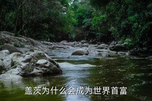 蓋茨為什么是明面上的首富,誰是中國(guó)首富