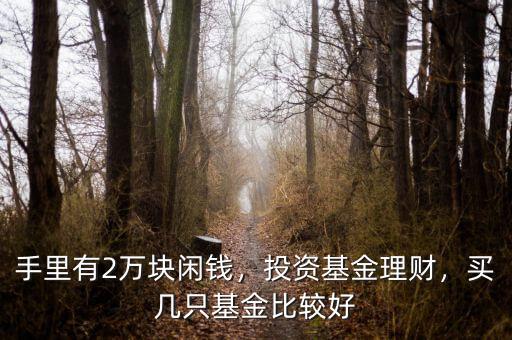 手里有2萬塊閑錢，投資基金理財(cái)，買幾只基金比較好
