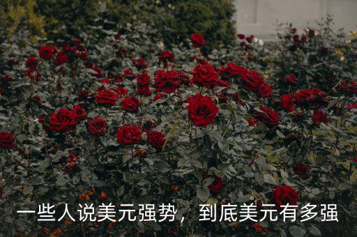 一些人說美元強(qiáng)勢，到底美元有多強(qiáng)