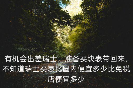 有機會出差瑞士，準備買塊表帶回來，不知道瑞士買表比國內便宜多少比免稅店便宜多少
