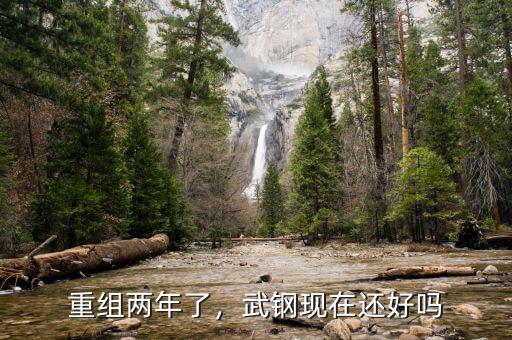 重組兩年了，武鋼現(xiàn)在還好嗎