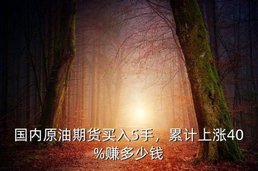 國內(nèi)原油期貨買入5手，累計上漲40%賺多少錢