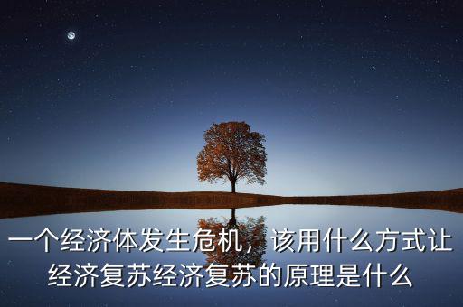 一個經(jīng)濟(jì)體發(fā)生危機，該用什么方式讓經(jīng)濟(jì)復(fù)蘇經(jīng)濟(jì)復(fù)蘇的原理是什么