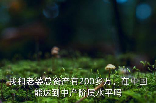 我和老婆總資產(chǎn)有200多萬，在中國能達到中產(chǎn)階層水平嗎