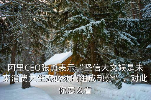 阿里CEO張勇表示“堅信大文娛是未來消費大生態(tài)必須的組成部分”，對此你怎么看