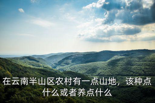 在云南半山區(qū)農(nóng)村有一點(diǎn)山地，該種點(diǎn)什么或者養(yǎng)點(diǎn)什么