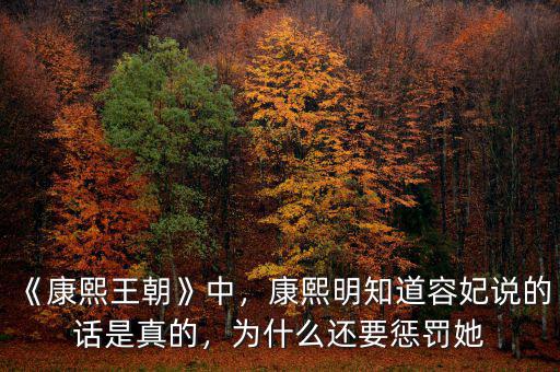 《康熙王朝》中，康熙明知道容妃說(shuō)的話是真的，為什么還要懲罰她