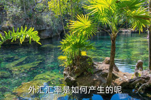 外匯匯率和什么有關,外匯匯率是如何產(chǎn)生的呢