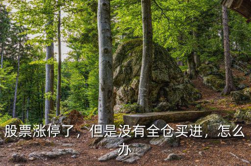 股票漲停了，但是沒有全倉買進(jìn)，怎么辦
