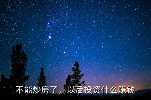 不能炒房了，以后投資什么賺錢