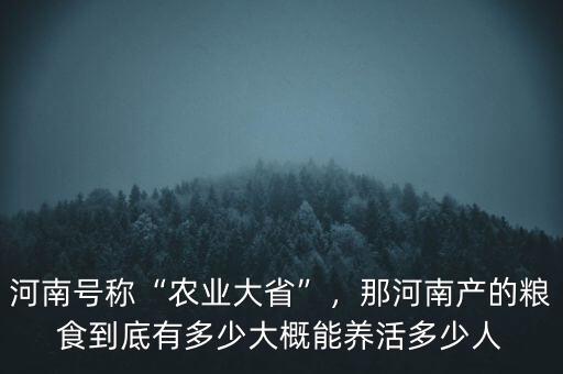 河南號稱“農(nóng)業(yè)大省”，那河南產(chǎn)的糧食到底有多少大概能養(yǎng)活多少人