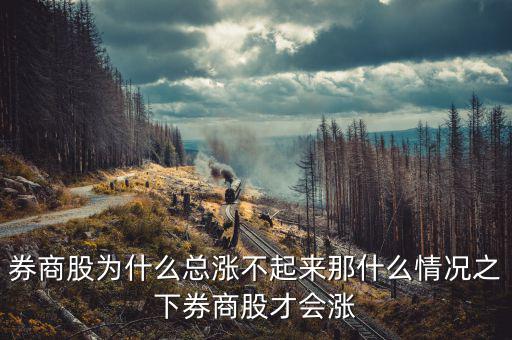 券商股為什么總漲不起來(lái)那什么情況之下券商股才會(huì)漲