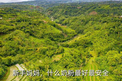 新手媽媽，什么奶粉最好最安全