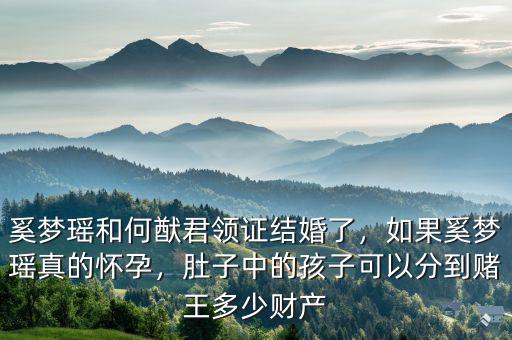 奚夢瑤和何猷君領(lǐng)證結(jié)婚了，如果奚夢瑤真的懷孕，肚子中的孩子可以分到賭王多少財產(chǎn)