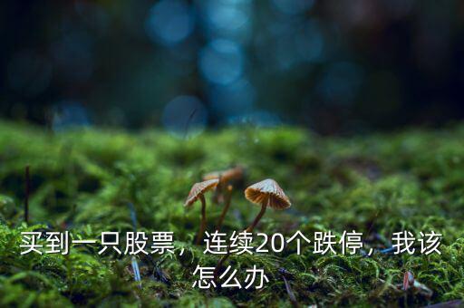 買到一只股票，連續(xù)20個跌停，我該怎么辦