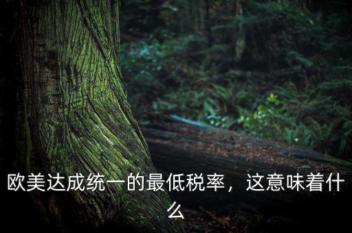 歐美達(dá)成統(tǒng)一的最低稅率，這意味著什么