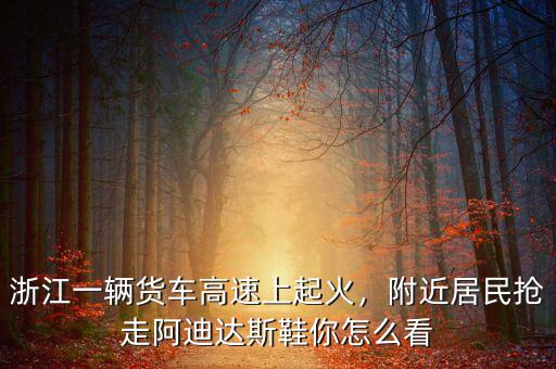 浙江一輛貨車高速上起火，附近居民搶走阿迪達(dá)斯鞋你怎么看