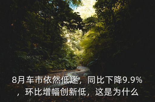 8月車市依然低迷，同比下降9.9%，環(huán)比增幅創(chuàng)新低，這是為什么